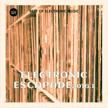 Various Artists - Electronic Escapade 2016, Vol. 3 (Best of Electronic Music)