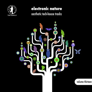 Various Artists - Electronic Nature, Vol. 13 - Aesthetic Tech-House Tracks!