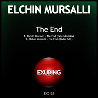 Elchin Mursalli - The End