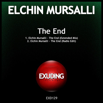 Elchin Mursalli - The End