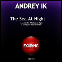 Andrey ik - The Sea at Night