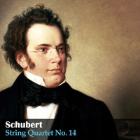 Caspar da Salò Quartet - Schubert: String Quartet No. 14