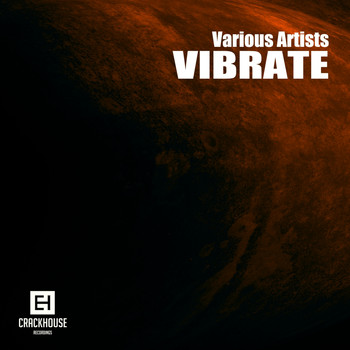Various Artists - Vibrate