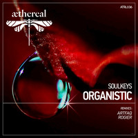 Soulkeys - Organistic
