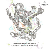 SevenDoors - Mesoplodon
