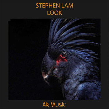 Stephen Lam - Look