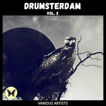 Various Artists - Drumsterdam, Vol. 2