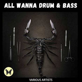 Various Artists - All Wanna Drum & Bass