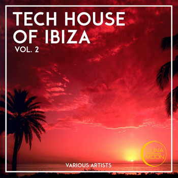 Various Artists - Tech House of Ibiza, Vol. 2