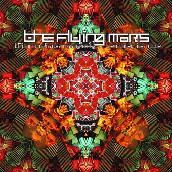 The Flying Mars - Vibradimensional Experience