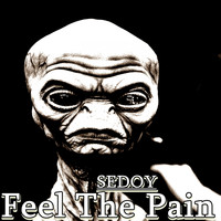 Sedoy - Feel The Pain