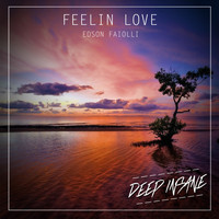 Edson Faiolli - Feelin Love