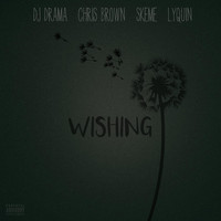 DJ Drama - Wishing (feat. Chris Brown, Skeme & Lyquin) (Explicit)