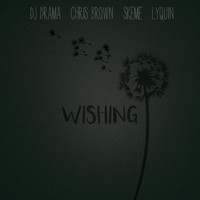 DJ Drama - Wishing (feat. Chris Brown, Skeme & Lyquin)