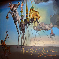 The Contrast - God of Malfunction