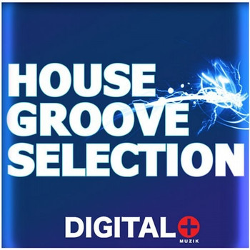 Various Artists - House Groove Selection