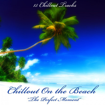 Various Artists - Chillout on the Beach (The Perfect Moment)