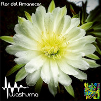 Washuma - Flor Del Amanecer - Single
