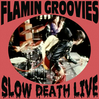 The Flamin' Groovies - Slow Death Live