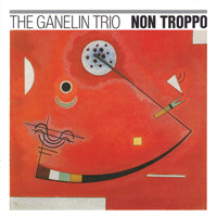 The Ganelin Trop - Non Troppo