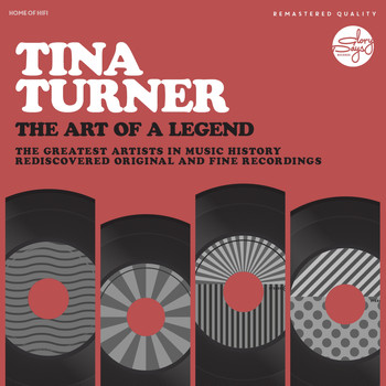 Tina Turner - The Art Of A Legend