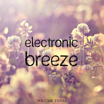 Various Artists - Electronic Breeze, Vol. 3