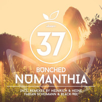 Bunched - Numanthia
