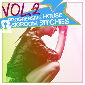 Various Artists - Progressive House & Bigroom Bitches, Vol. 2