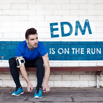 Various Artists - EDM Is on the Run