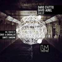 Dario D'Attis, David Aurel - Raw
