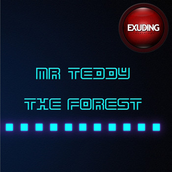Mr. Teddy - The Forest