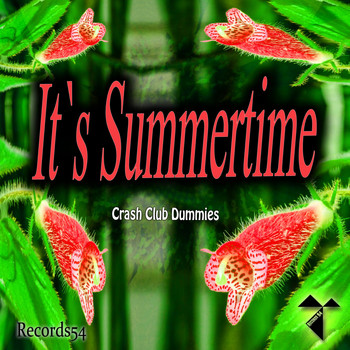 Crash Club Dummies - It's Summertime