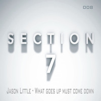 Jason Little - What Goes up Must Come Down