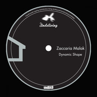 Zaccaria Malak - Dynamic Shape
