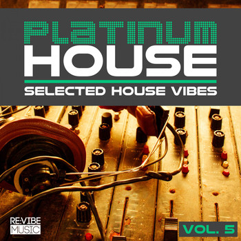 Various Artists - Platinum House Vol. 5 - Selected House Vibes