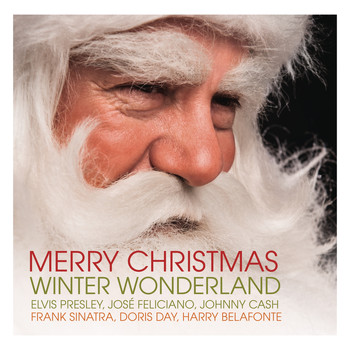 Various Artists - Merry Christmas - Winter Wonderland