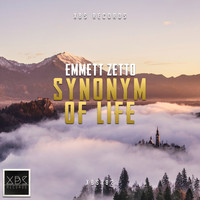 Emmett Zetto - Synonym Of Life