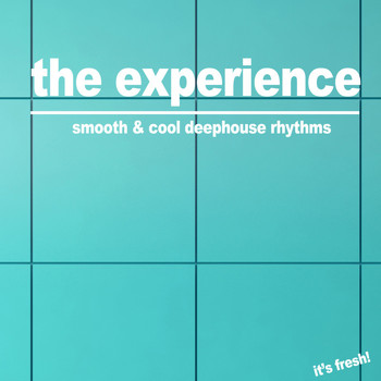 Various Artists - The Experience (Smooth & Cool Deephouse Rhythms)