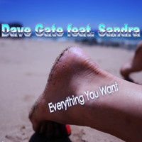 Dave Gate feat. Sandra - Everything You Want