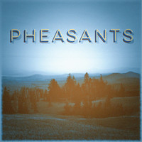Pheasants - Pheasants