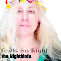 The Nightbirds - Feels so Right
