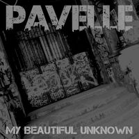 Pavelle - My Beautiful Unknown (Explicit)