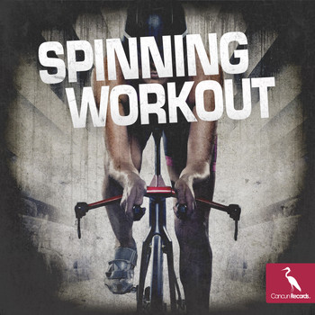 Various Artists - Spinning Workout