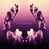 Nyx Orchid - Nyx Orchid