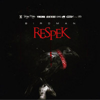 Birdman - Respek - Single (Explicit)