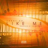 Sonny Bo - Like Me - Single (Explicit)
