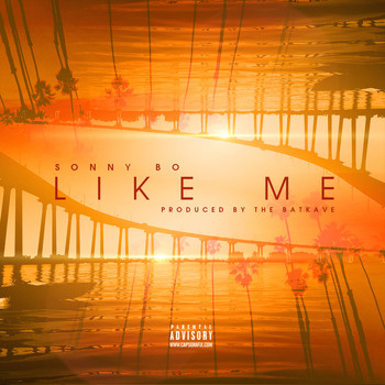Sonny Bo - Like Me - Single (Explicit)