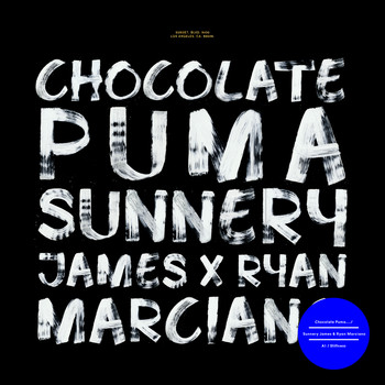 Chocolate Puma - Stiffness