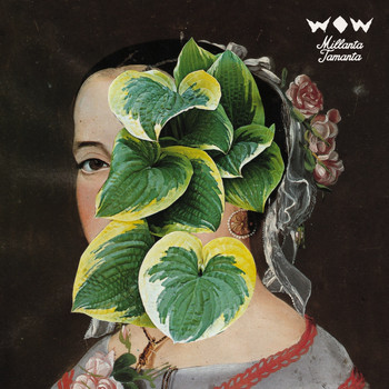 Wow - Millanta tamanta