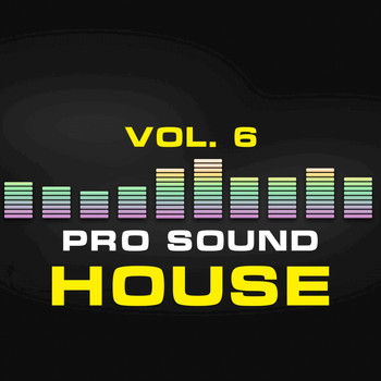 Various Artists - Pro Sound: House, Vol. 6